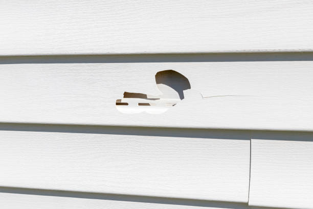 Best Siding Removal and Disposal  in Alamo Heights, TX