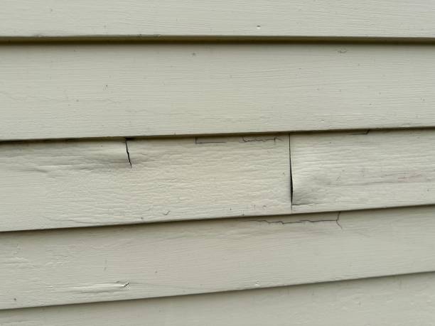 Best Fiber Cement Siding Installation  in Alamo Heights, TX